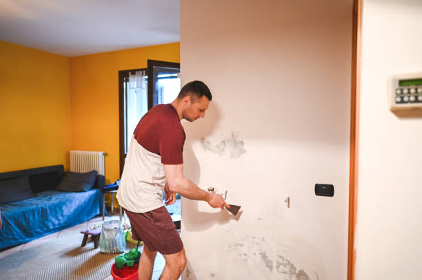 Best Home Mold Removal  in Dover Plains, NY